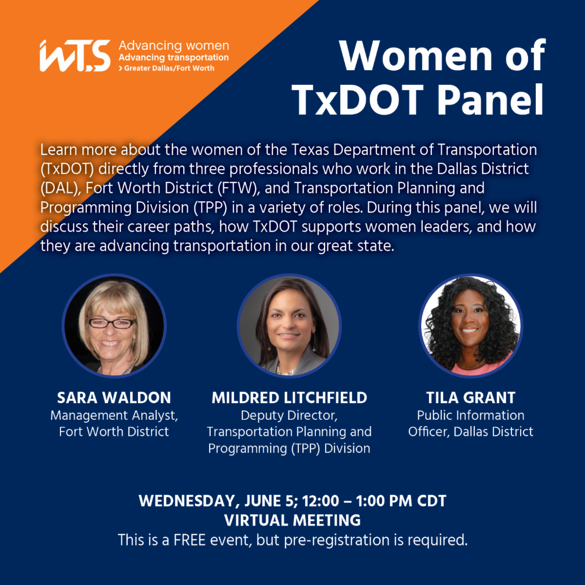 WTS Greater DFW June 2024 Virtual Panel