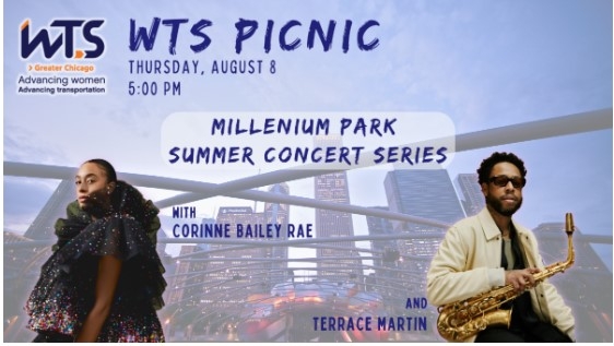 Chicago Summer Picnic